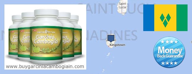 Dove acquistare Garcinia Cambogia Extract in linea Saint Vincent And The Grenadines